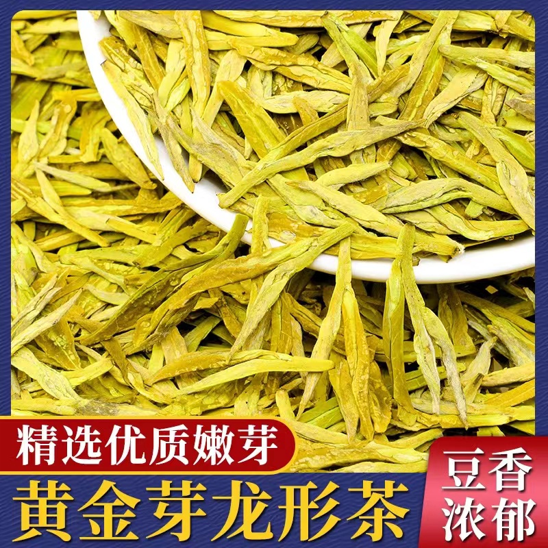 龙型黄金芽 半斤/一斤新茶高豆香 浓香罐装绿茶