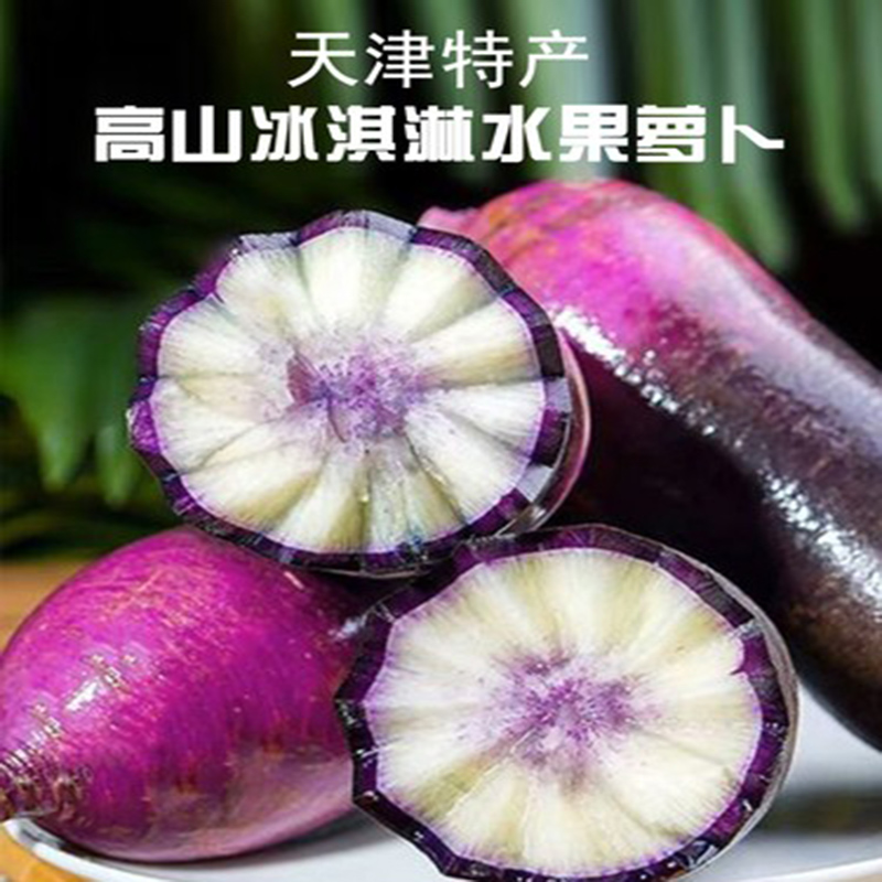 天津小沙窝村冰激凌萝卜 女生孩子爱吃 现拔现发紫色香甜饱满多汁