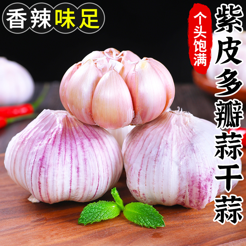 山东紫皮多瓣蒜干蒜50g-9斤老蒜当季辛辣大蒜头蔬菜蒜蒜瓣饱满