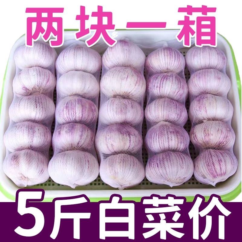 正宗紫皮23年新晒干大蒜头新鲜干蒜特大蒜子50g/3/5斤整箱