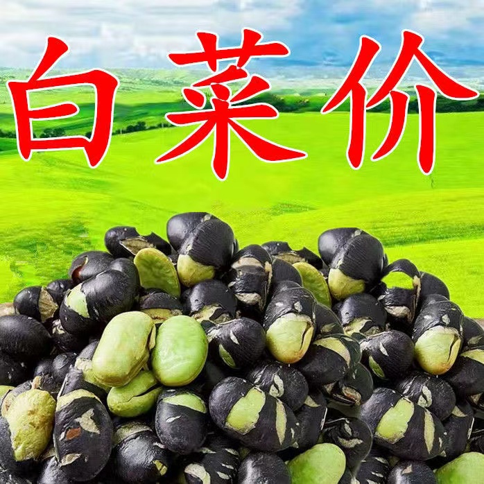 【抢1斤6.9】香脆黑豆黑豆炒熟休闲零甄选食绿芯炒黑豆大颗粒酥脆