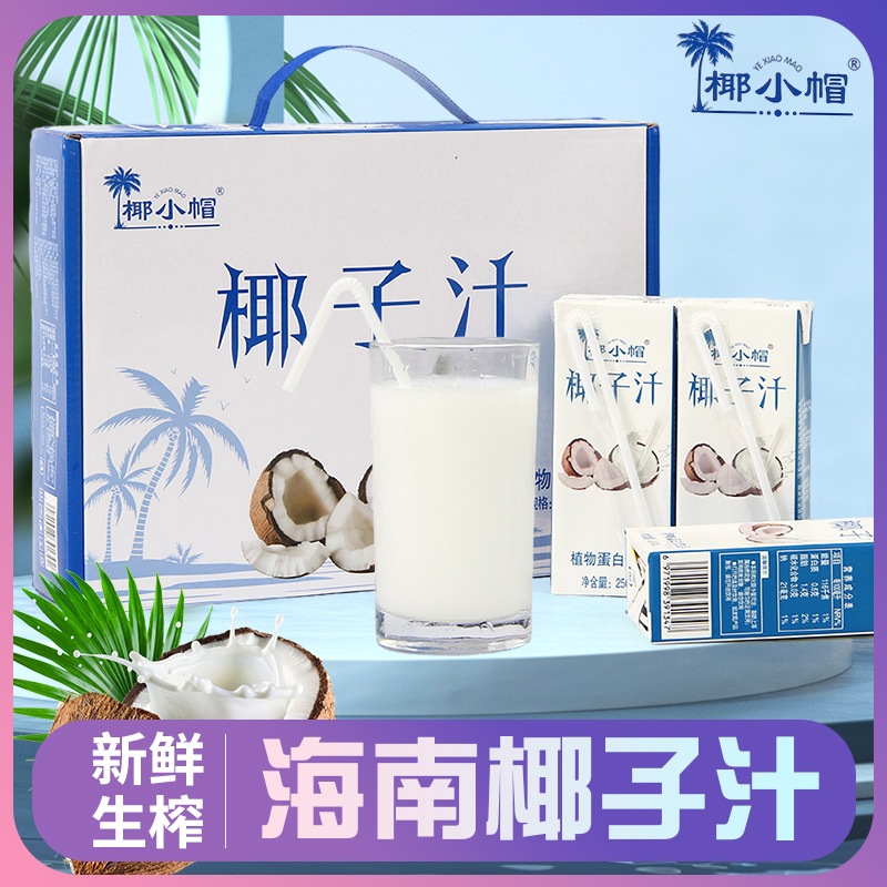 【专属】椰子汁生榨植物蛋白饮品风味饮料250ml*10瓶-T