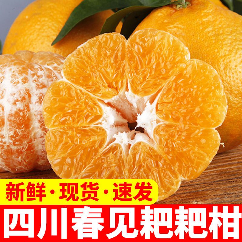 四川特级春见耙耙柑正宗粑粑柑当季新鲜水果杷杷橘甜大果1-9斤装