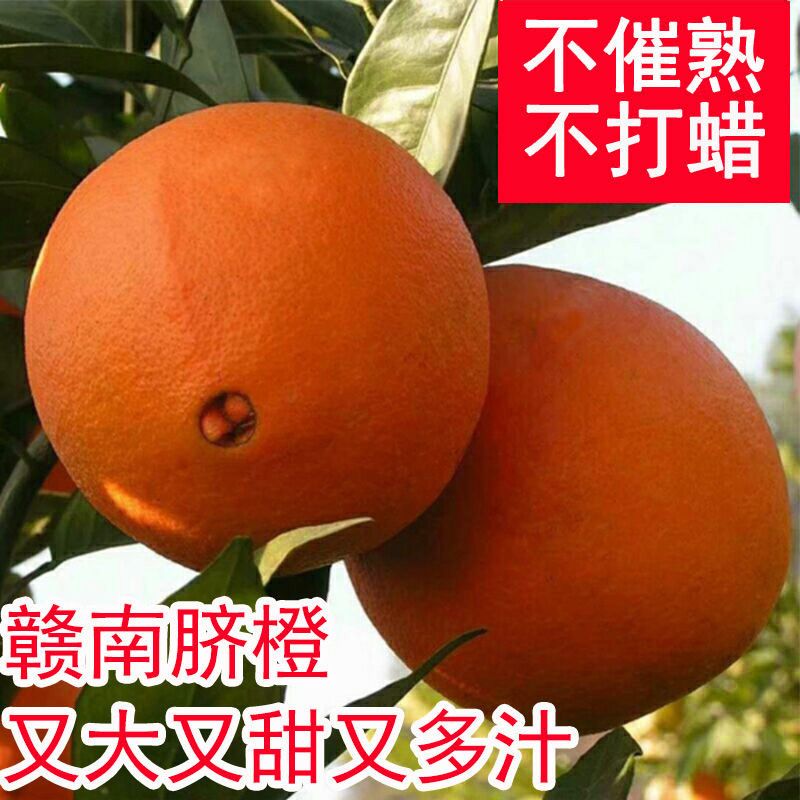 江西赣南脐橙橙子新鲜水果当季水果整箱正宗精品大果赣州甜1-9斤