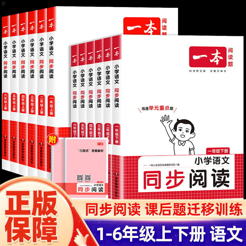 24春下册一本小学语文同步阅读专项训练一二三四五六年级人教版
