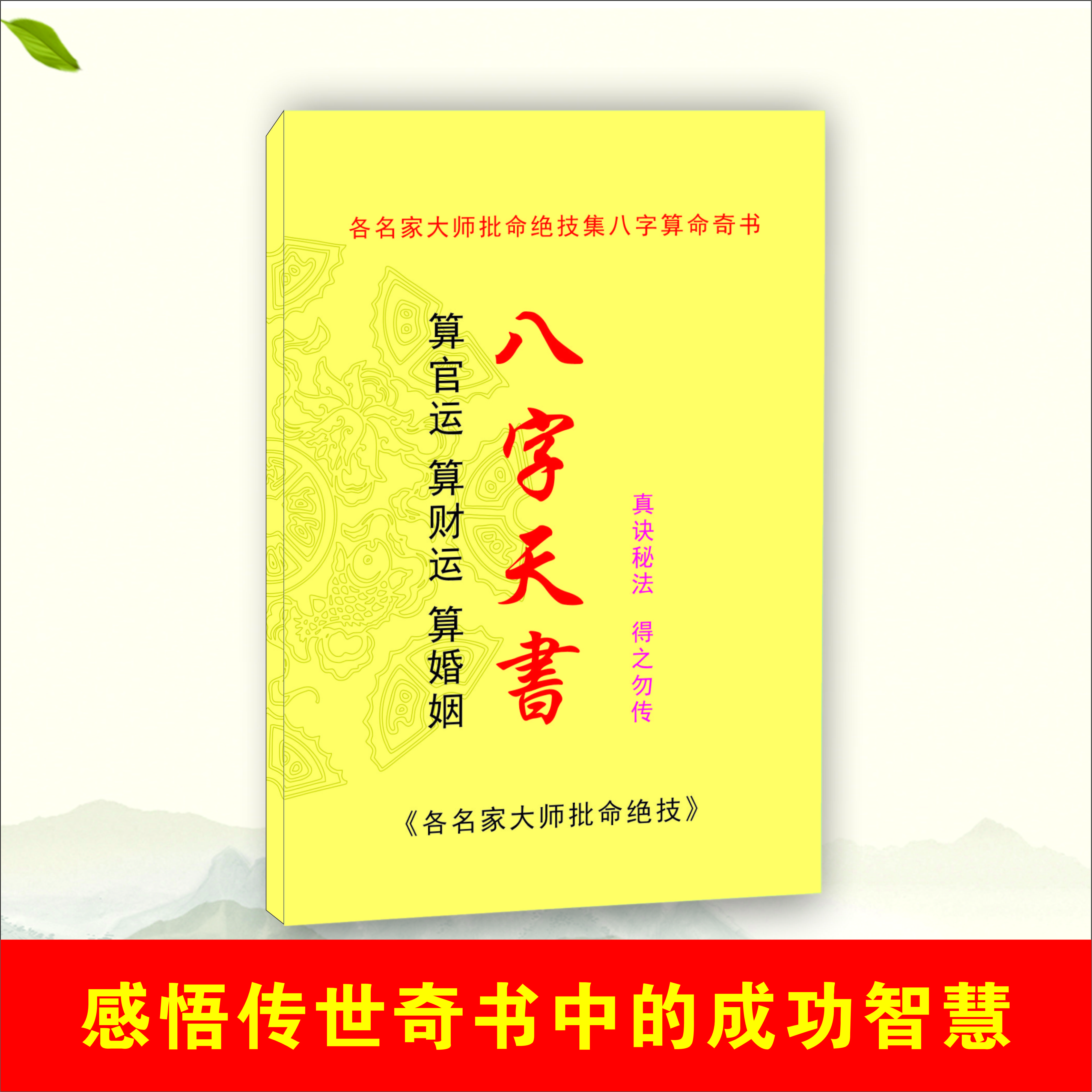 八字天书/各名家大师批命绝技