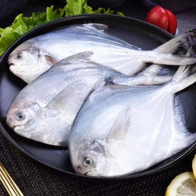 甜蜜海岸sweet coast胖虎家野生新鲜银鲳鱼 500克/包*7包（5条/包）