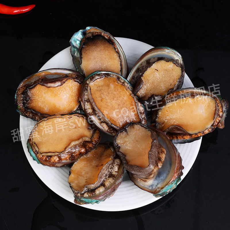 甜蜜海岸sweet coast扬帆家鲍鱼美味海鲜鲜活速冻发货250g/包*2包