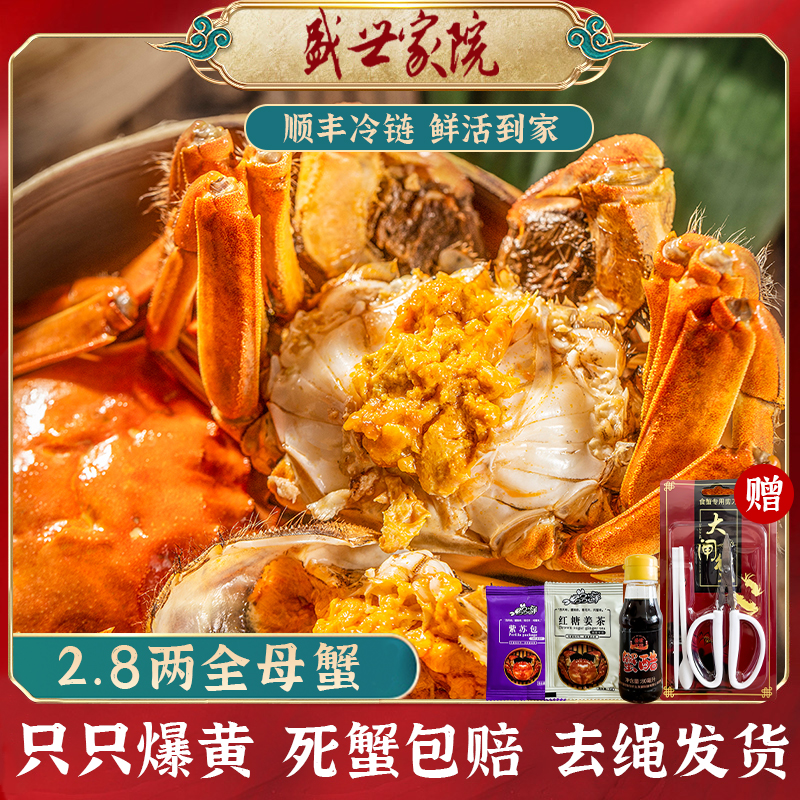 【活蟹】2.8两全母大闸蟹生鲜河蟹团购套餐现货红膏固城湖精品蟹塘