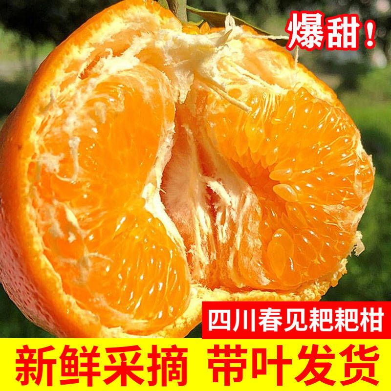 【易3队】春见耙耙柑四川新鲜水果丑橘粑粑柑桔子8斤