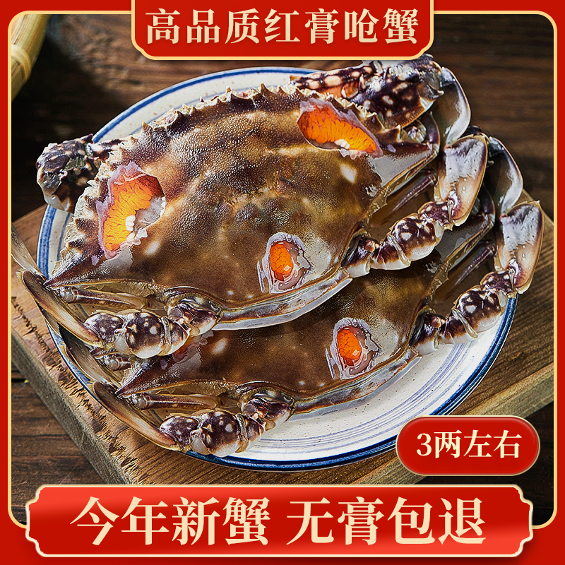 舟山特产红膏呛蟹3-4两/只梭子蟹新鲜生腌蟹醉蟹母螃蟹海鲜咸炝蟹