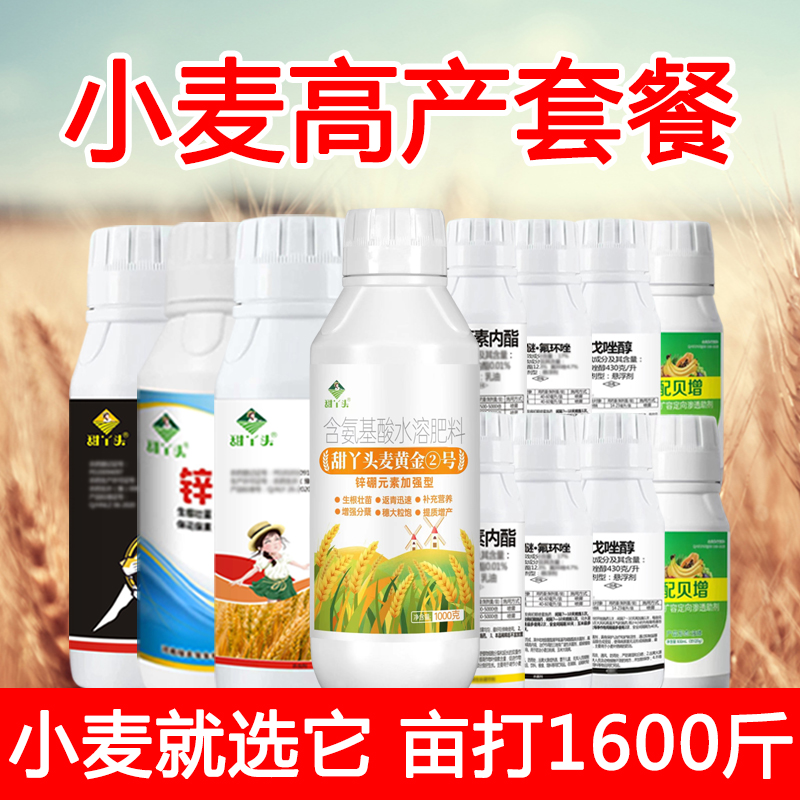 甜丫头增强小麦提质增产高产特效套装生根壮苗促分蘖专用叶面肥