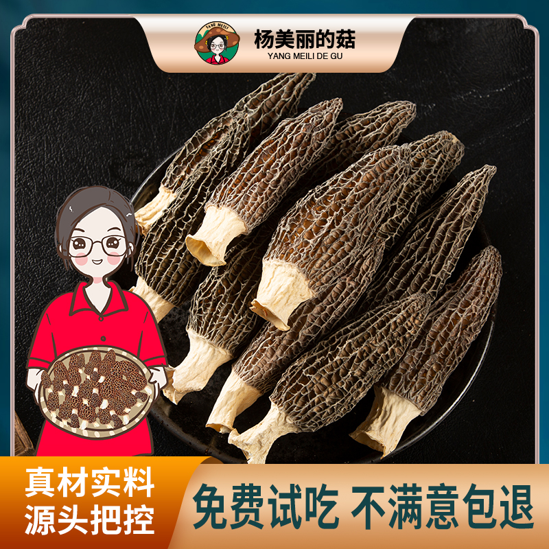 山谷里】头茬羊肚菌5-8公分煲汤炖汤食用菌菇肉质厚实新鲜20g福建