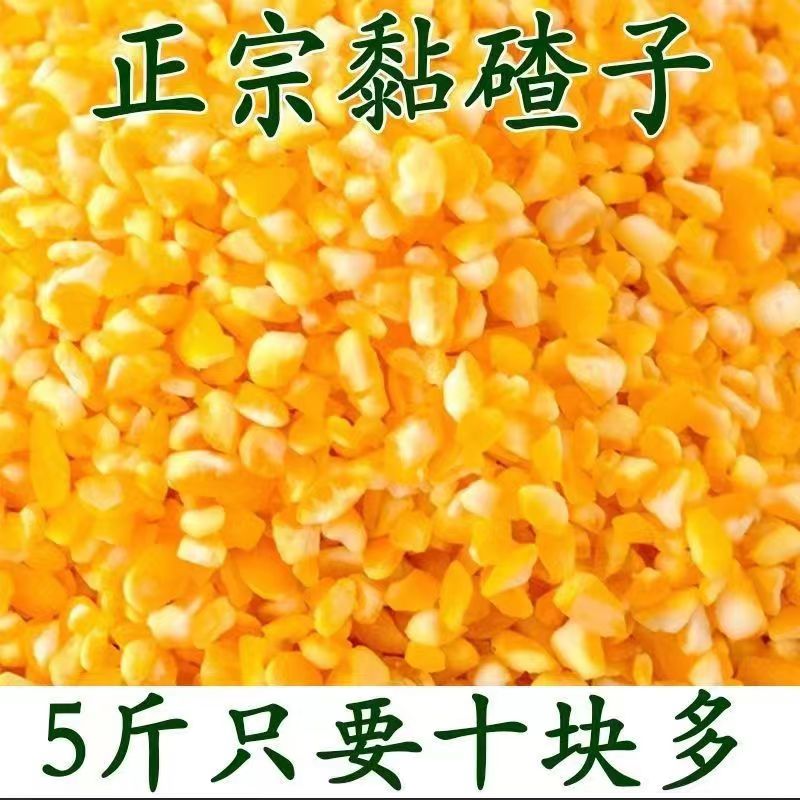 新货东北特产粘大碴子玉米碴子粘大碴粥颗粒便宜食用新鲜非转基因