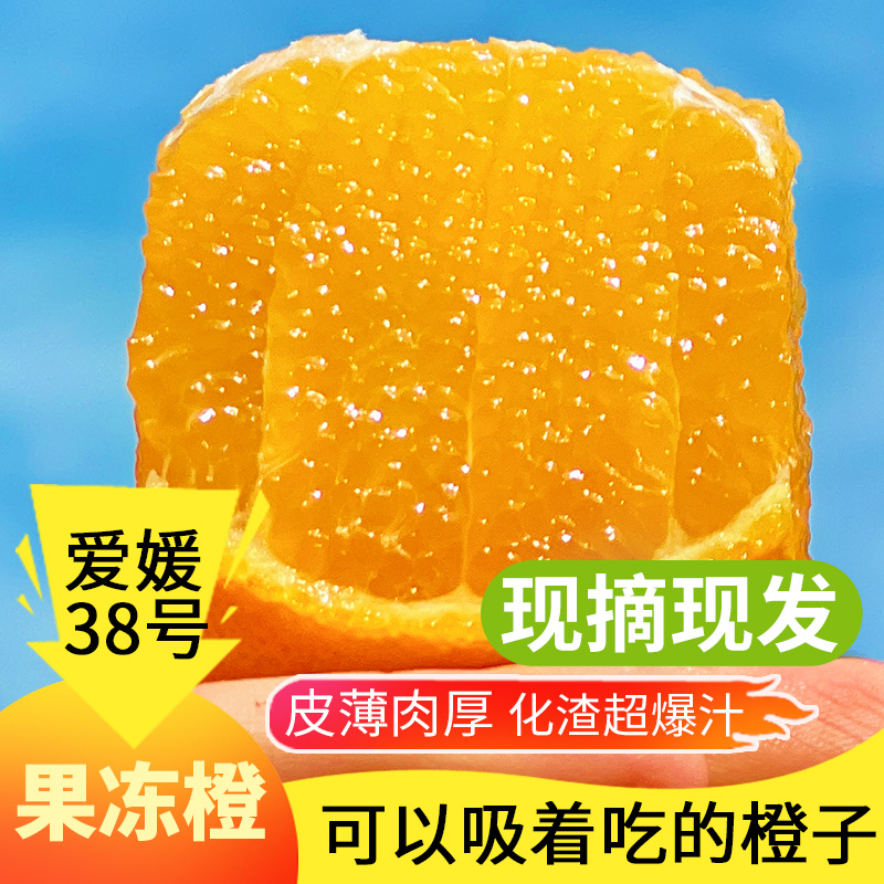 【双11专享】产地眉山38号爱媛果冻橙2-8斤现货包邮应季新鲜水果