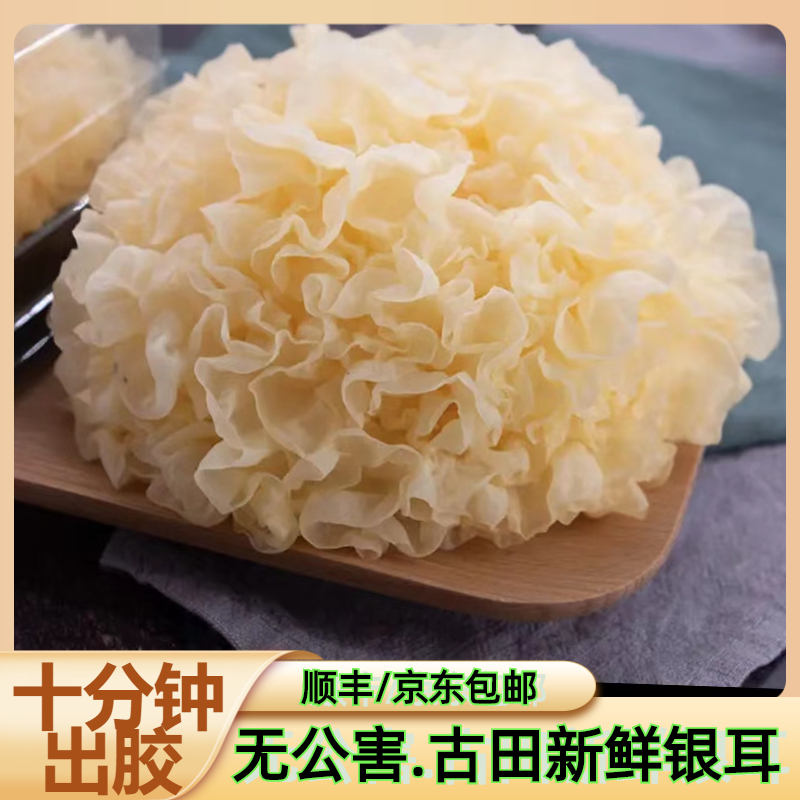 古田深山无公害新鲜银耳现采现发一箱6朵独立装顺丰包邮680g