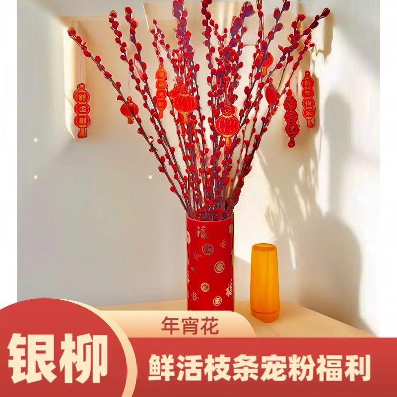 银柳年宵花桌面装饰花束室内绿植无银柳干支插花