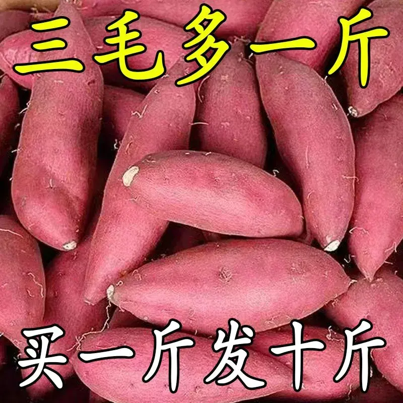 【抢购中】超甜正宗蜜薯1/10斤新鲜红蜜薯板栗薯地瓜番薯蔬菜烟薯