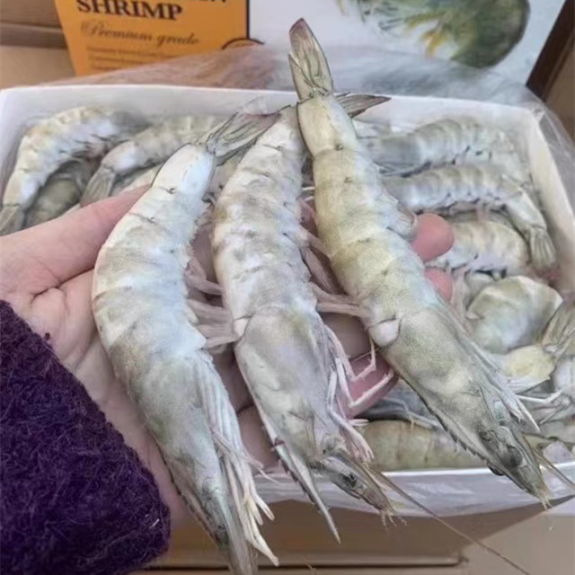 王牌气冻白虾大规格20/30海水大虾新鲜冷冻厄瓜多尔进口青虾包邮