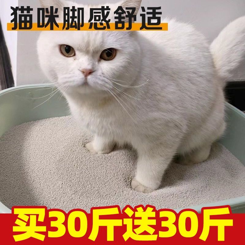 小米猫砂60斤包邮膨润土猫砂10斤小米砂低尘结团除臭小颗粒用量省