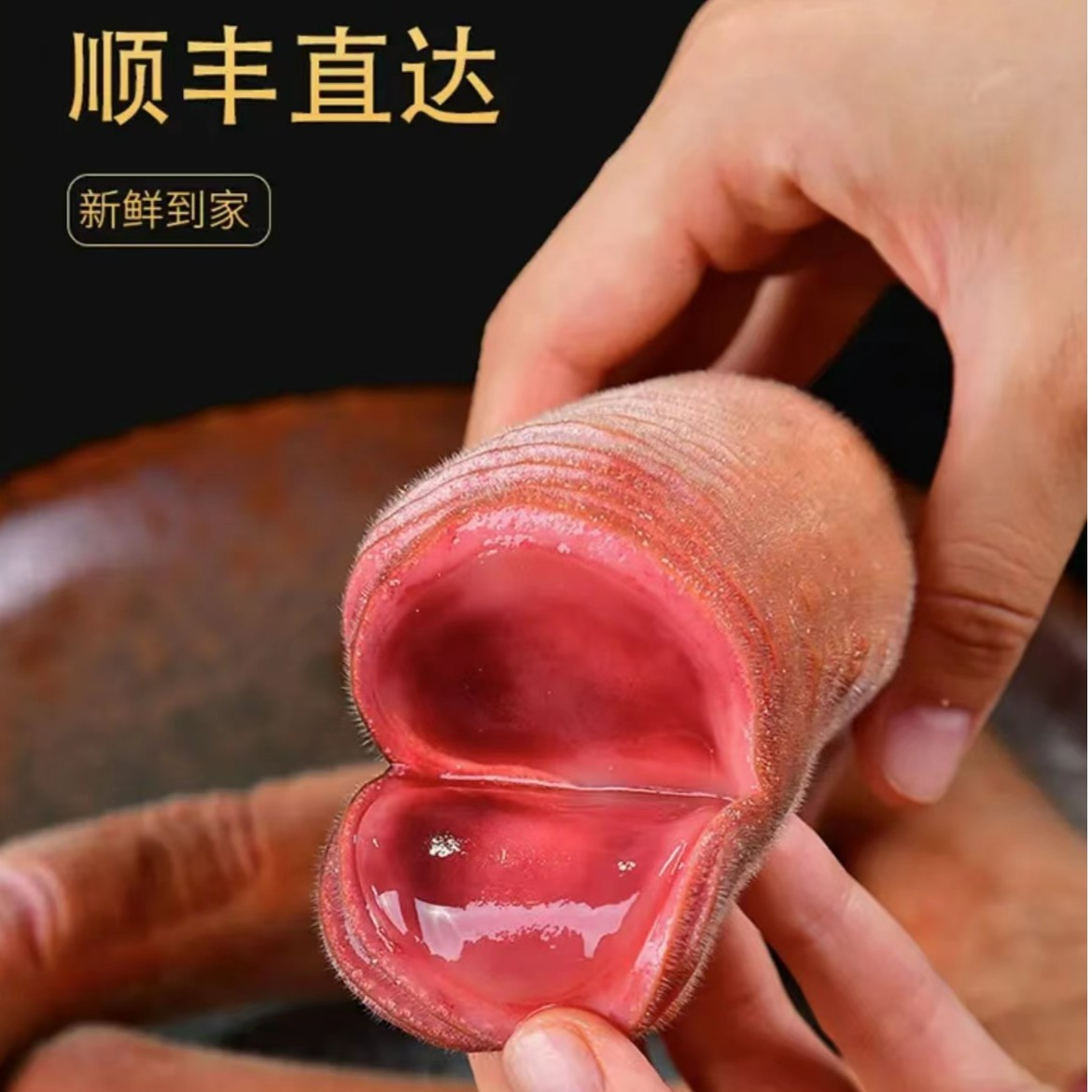【管仲优选】东北鹿乡 梅花鹿 新鲜鹿茸（称重计价）