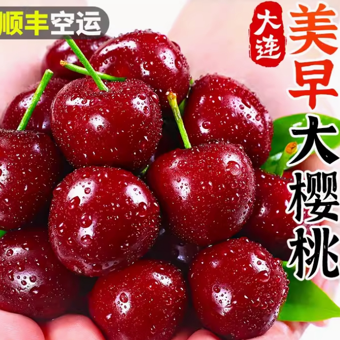 【当季】大连美早大樱桃国产车厘子礼盒装孕妇水果顺丰樱桃水果爆汁