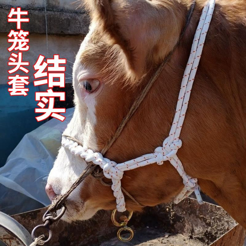 牛笼头套牛龙套牛龙头牵牛绳犊牛笼头套牛缰绳飞机网绳编制