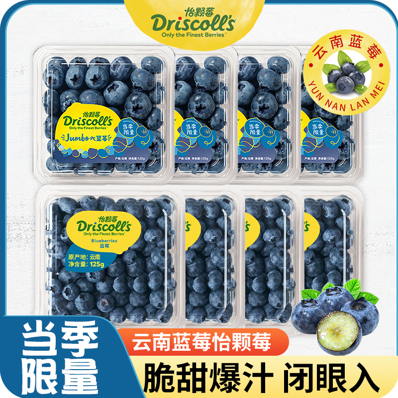 【顺丰航空】云南怡颗莓蓝莓当季甜蓝莓新鲜采摘Driscolls125g/盒