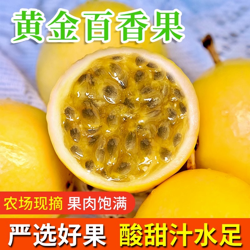 钦蜜9号黄金百香果甜度高果肉饱满香甜多汁口感纯正（10个/中果）