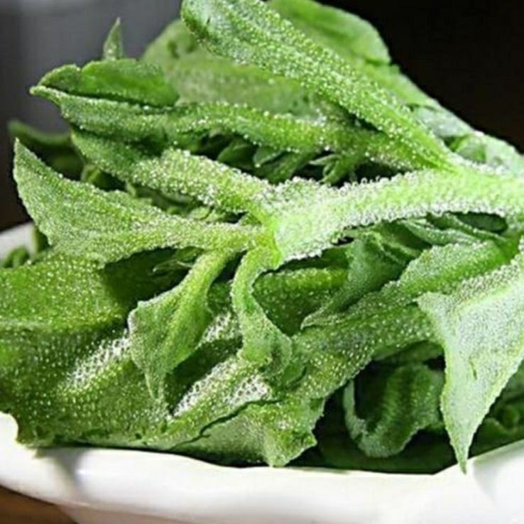 水晶冰菜种子冰草种籽四季蔬果种子特色菜盆栽田园蔬菜