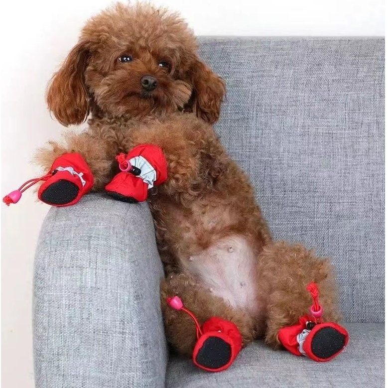 宠物狗狗鞋子小型犬宠物泰迪透气不掉脚加绒保暖鞋套脚套软底防滑