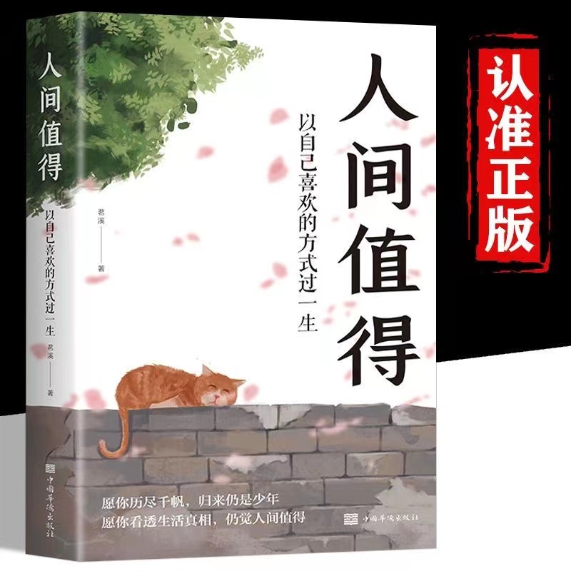 人间值得 正版 以自己喜欢的方式过一生 当代文学作品励志哲理书