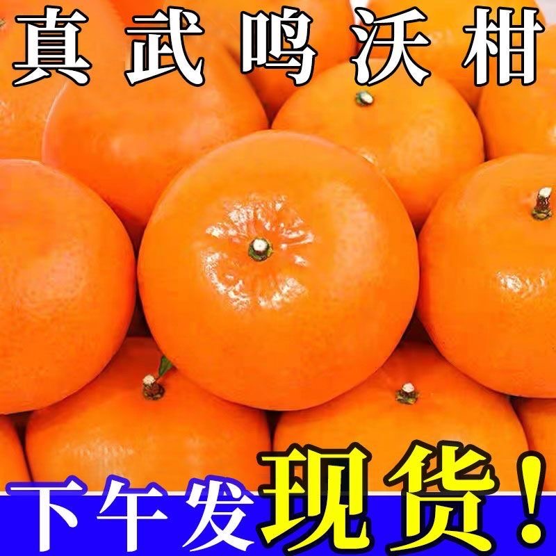 广西沃柑大果武鸣正宗营养漂亮饱满颜值脆嫩酸甜爽口水果