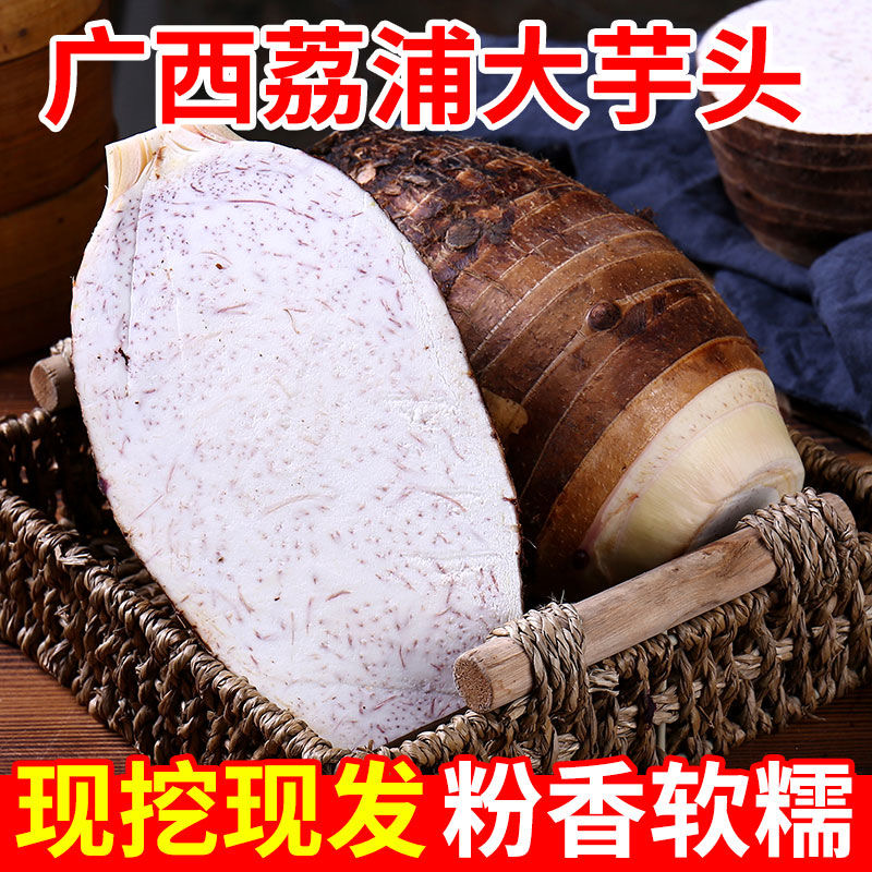 广西桂林特产香芋头正宗荔浦种植产品新鲜农家坏果包赔