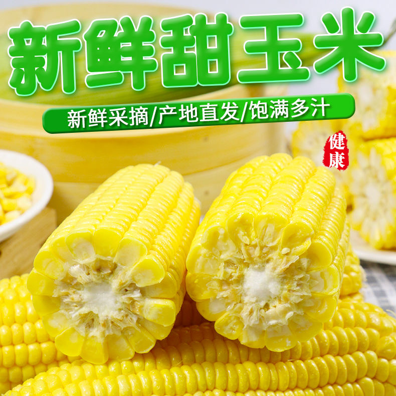 广西横县水果玉米天然饱满香甜优质颗粒新鲜高品质高品质苞米