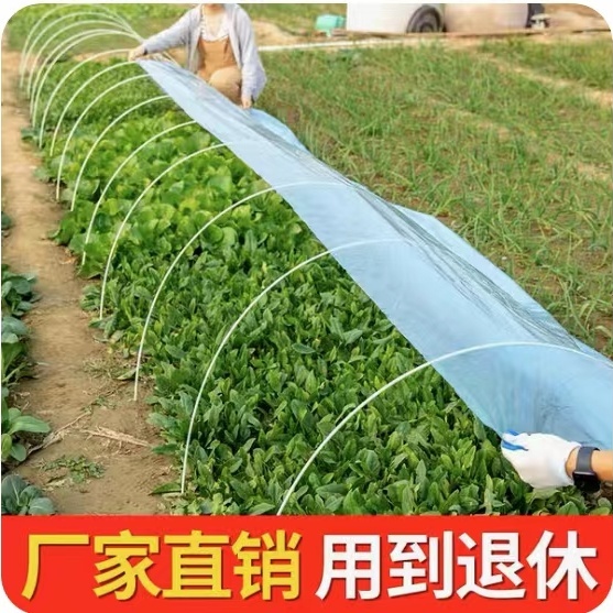 农用小拱棚支架蔬菜种植大棚内棚保温棚多肉花棚玻璃纤维杆骨架