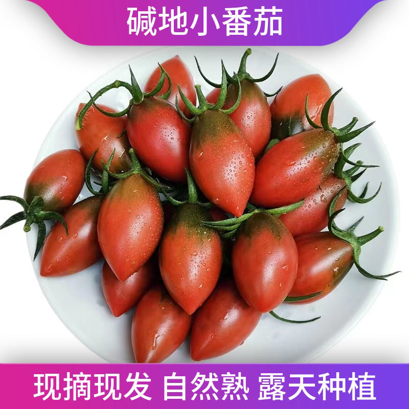 顺丰包邮西红柿紫弹头包赔组合圣女果新鲜当季水果小包赔孕妇水果