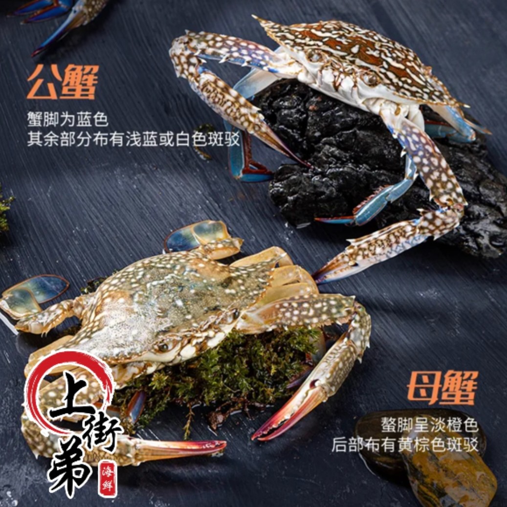 【兰母蟹】鲜活兰母蟹鲜虾蟹食用 【包鲜不包活】3斤5斤