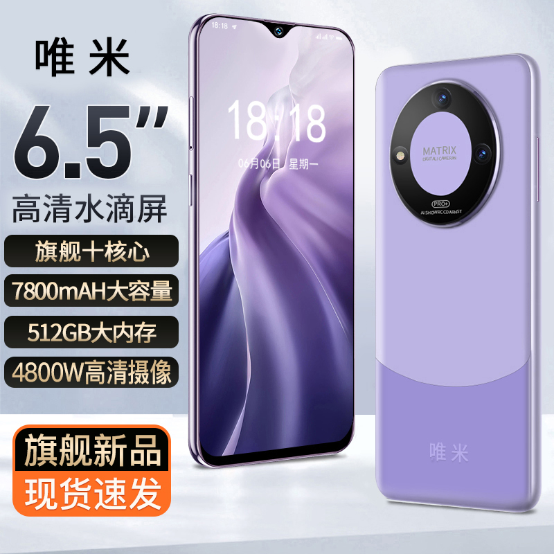 【程总专属】2023新款高档全新正品智能双卡双待全网通时尚手机