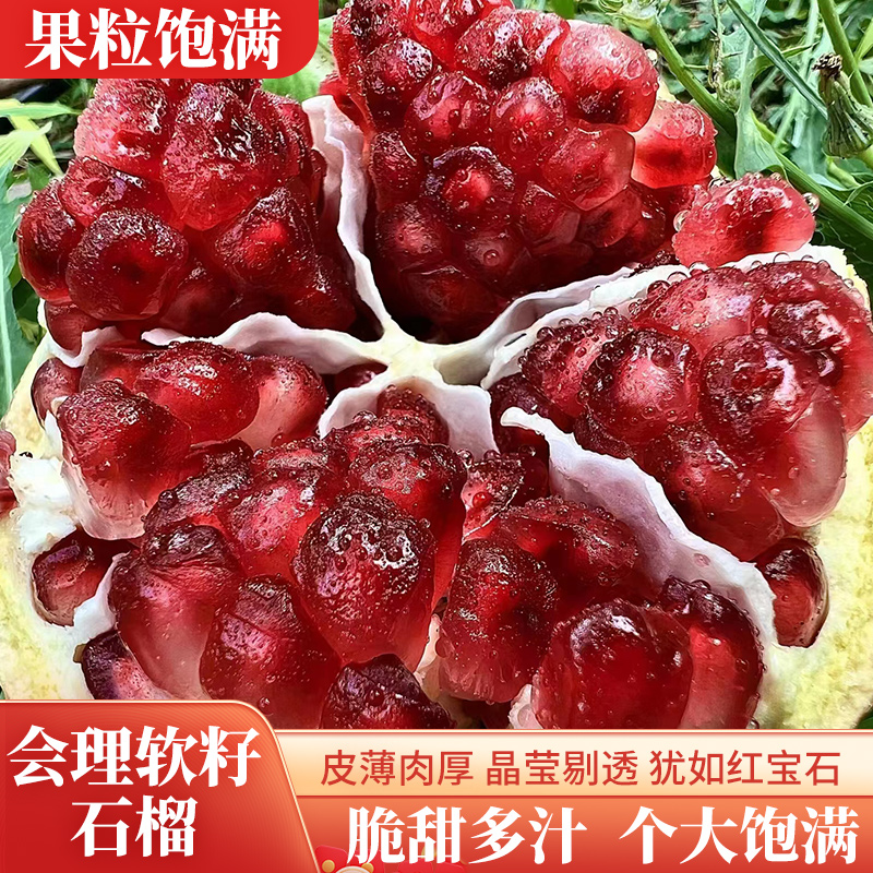 【中通快递】正宗四川会理软籽石榴5/8斤果园新鲜现摘直发香甜饱满