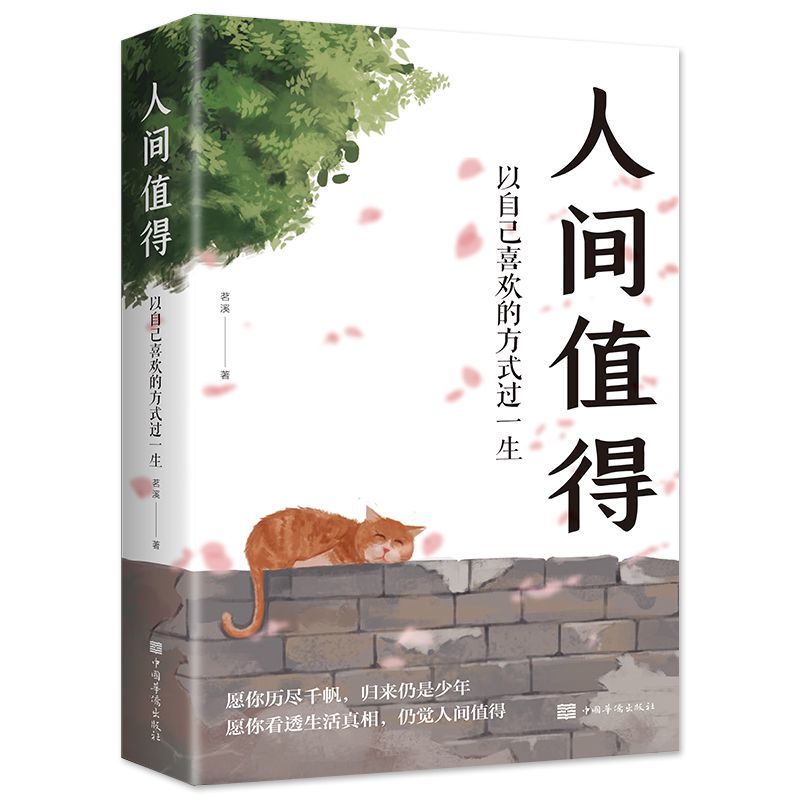 人间值得正能量成长心灵疗愈书籍青春励志人间美好董宇辉推荐书籍