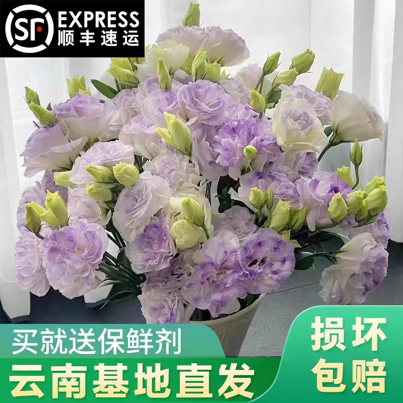 #花田优选#百合、应季花 配花配草【任意2件包邮发顺丰德邦】