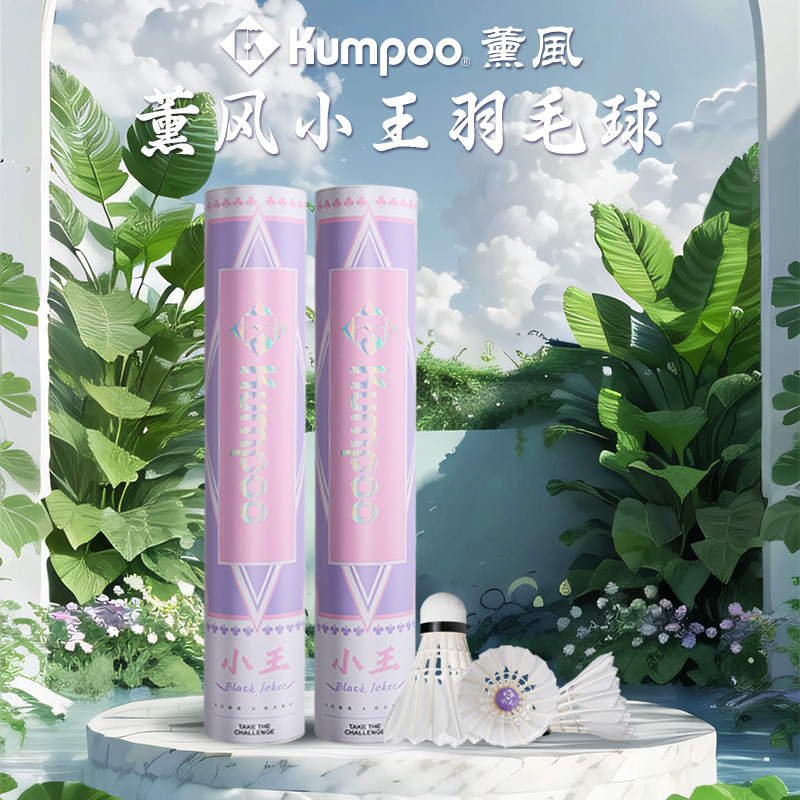 薰风小王羽毛球鹅毛熏风飞行稳定耐打专业比赛训练球耐打12只装