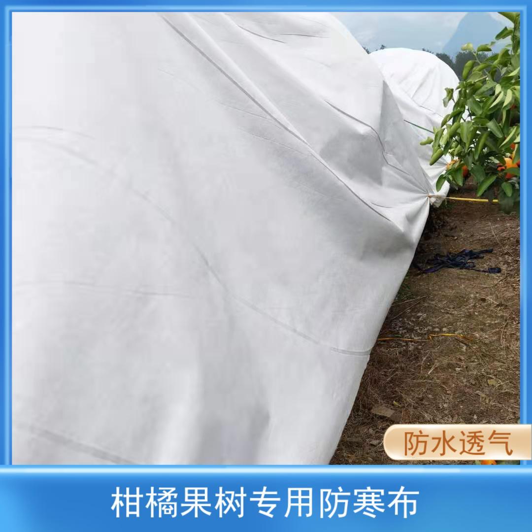 防寒布保温膜果园果树柑橘防霜冻防雨水透气抗老化大棚膜薄膜直销