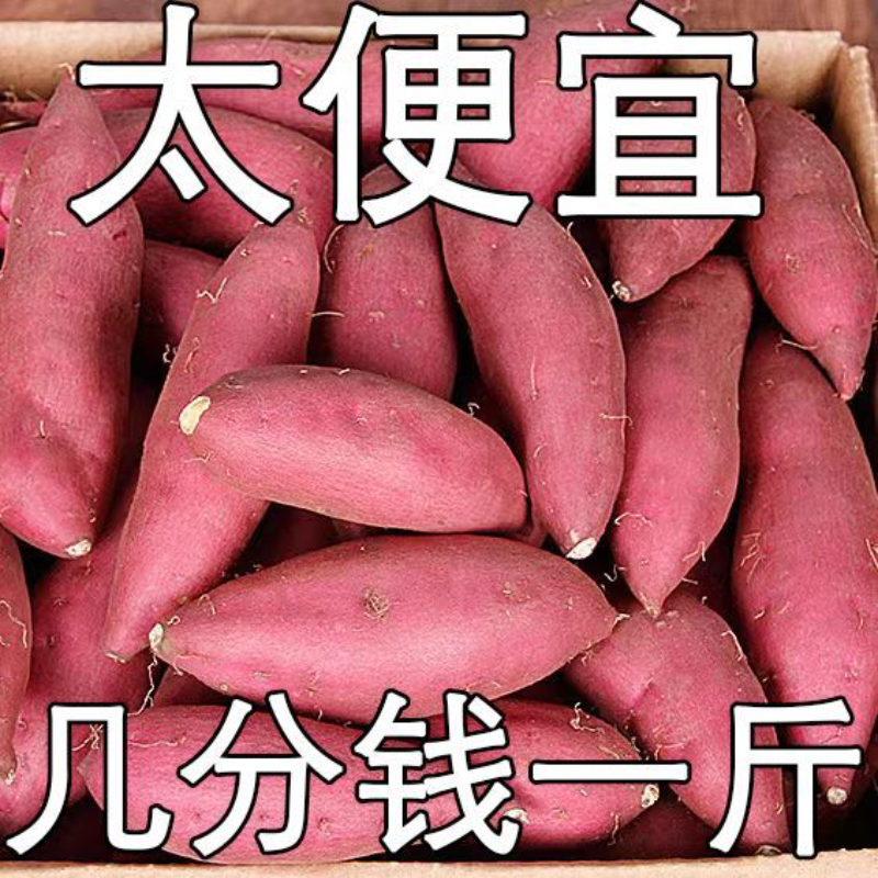 【抢购中】超甜沙地蜜薯1/10斤新鲜红薯板栗薯地瓜番薯烟薯蔬菜