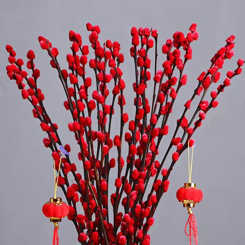 【粉丝新年福利】银柳真花新鲜室内花卉装饰 （送饰品灯笼）LTG