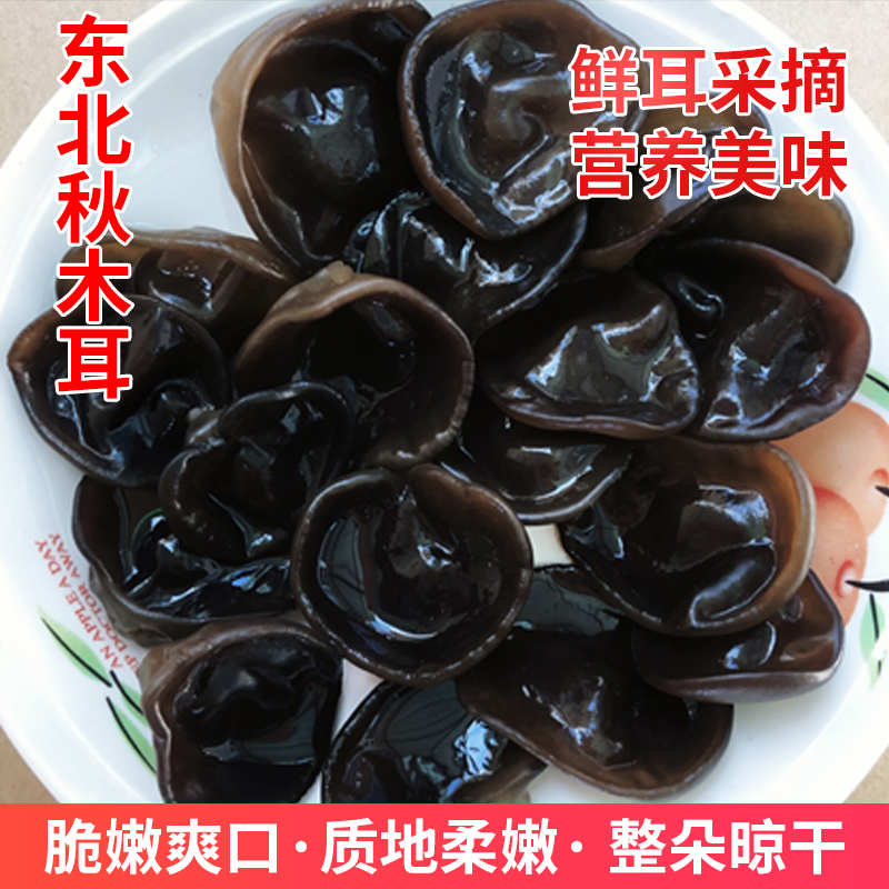 【粉丝专享】2斤装赵大妹东北秋木耳23年新耳厚实肉质天然食用