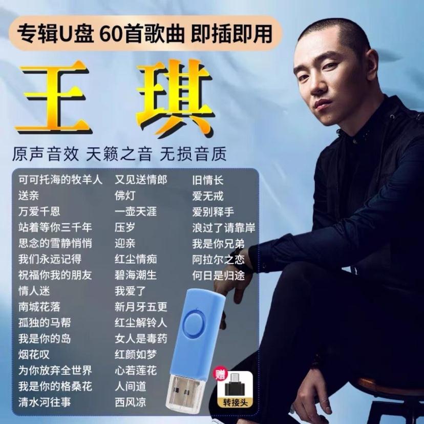 汽车载U盘王琪专辑可可托海的牧羊人无损音乐流行歌曲车用优盘MP3