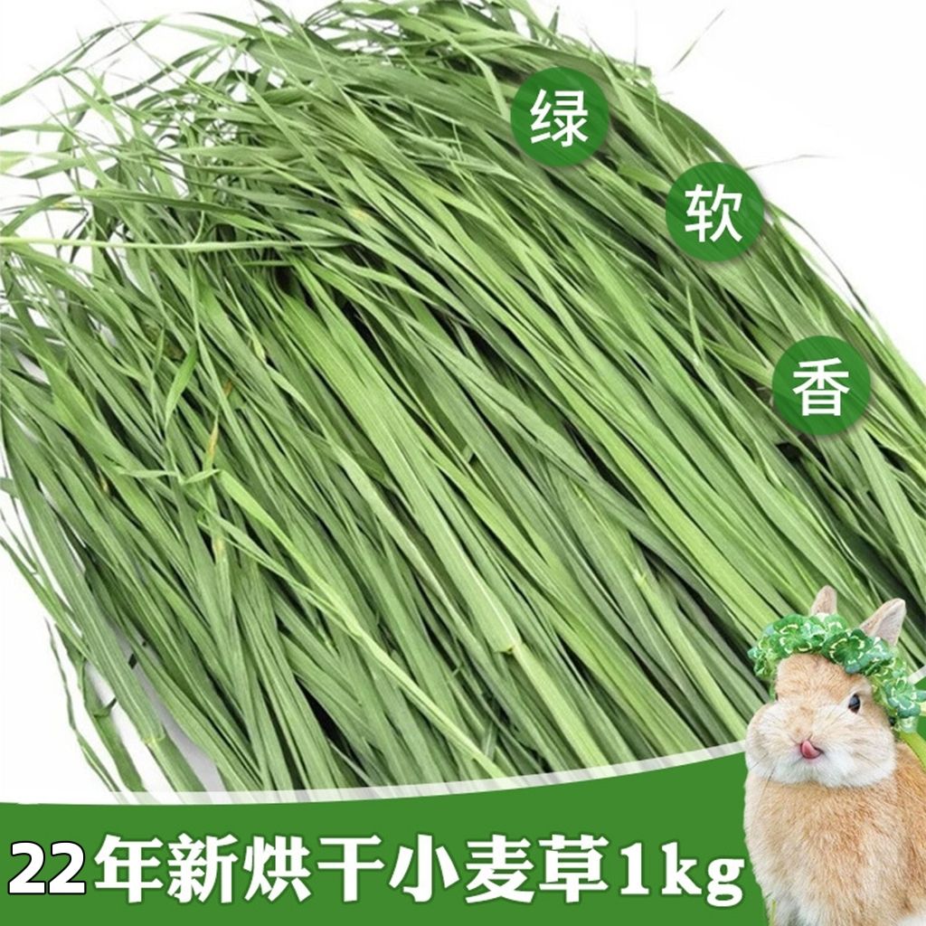 兔子干烘干小麦牧兔子荷兰猪龙猫牧豚鼠营养牧