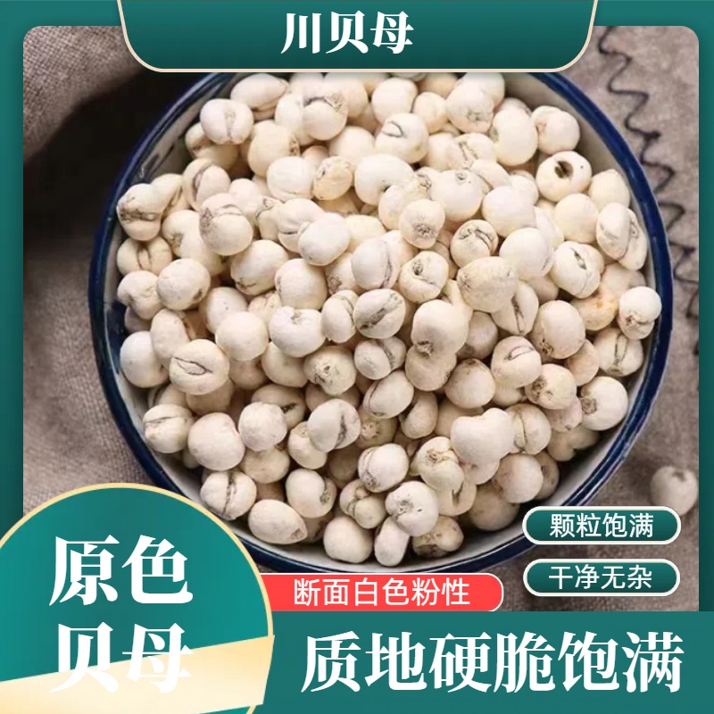 【尾巴姐优选】精选土特产山货 川贝母 搭配红枣 炖雪梨 滋补  佳品